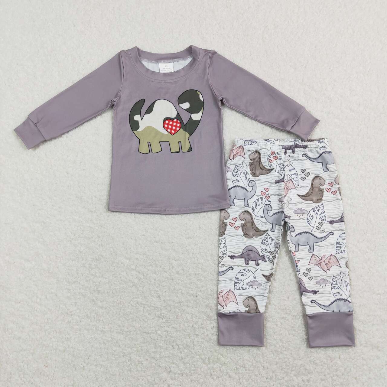 gray dinosaur Long Sleeve Boy Set
