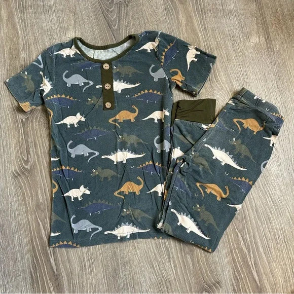 pre -order Dinosaur print boys set BSPO0542